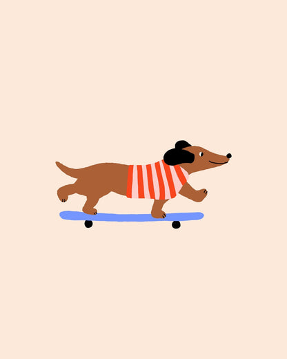 Skating Dachshund