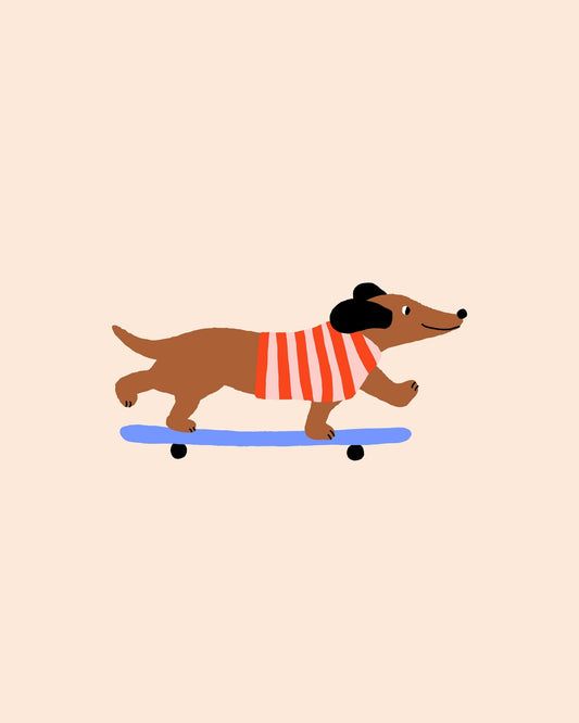 Skating Dachshund