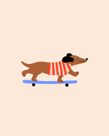 Skating Dachshund