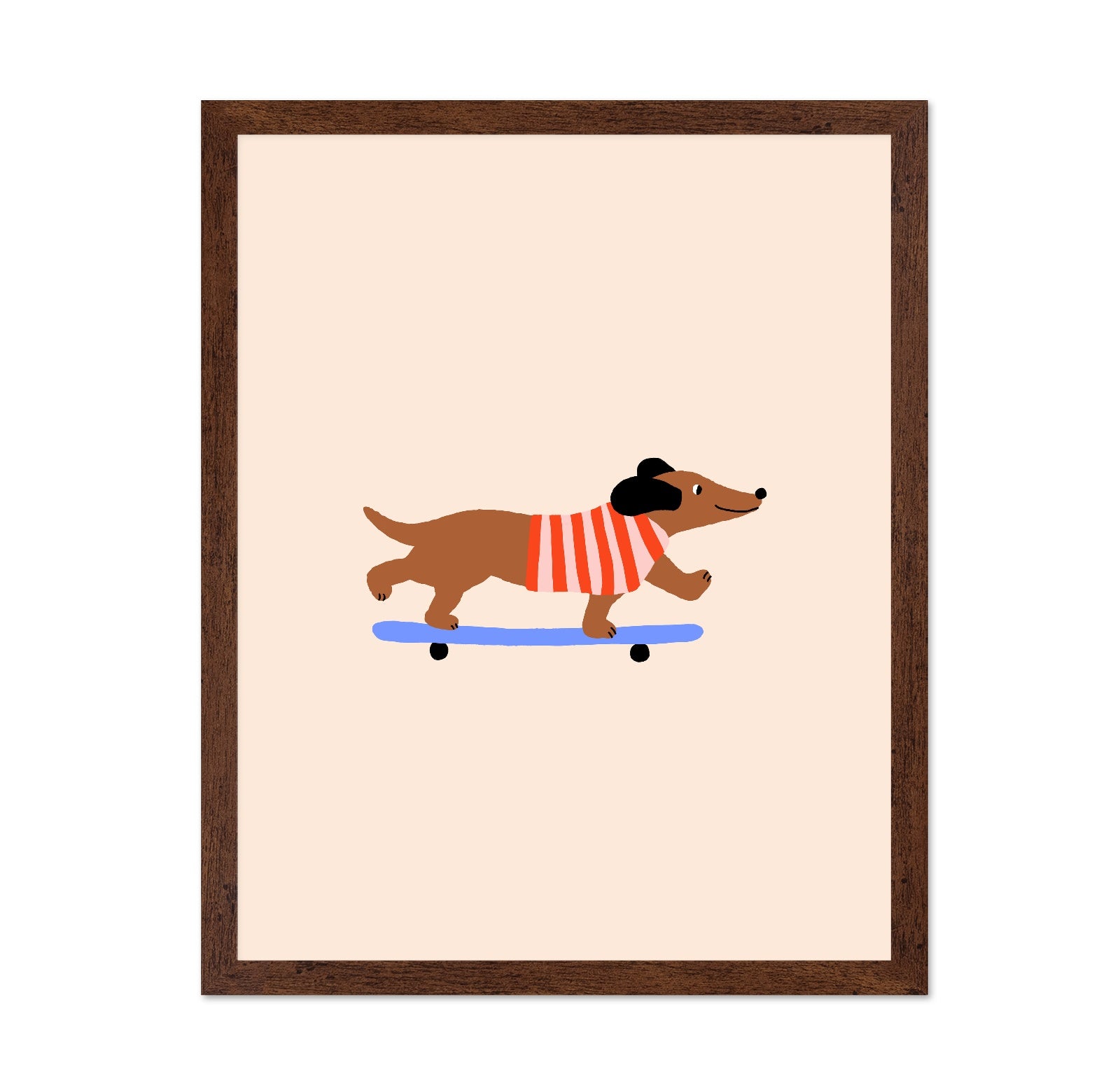 Skating Dachshund