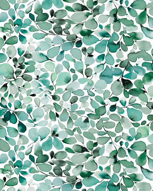 Eucalyptus Leaves