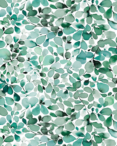 Eucalyptus Leaves