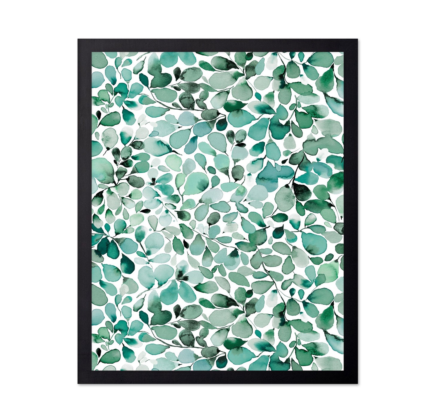 Eucalyptus Leaves