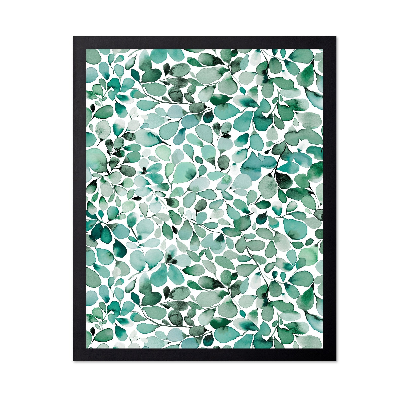 Eucalyptus Leaves