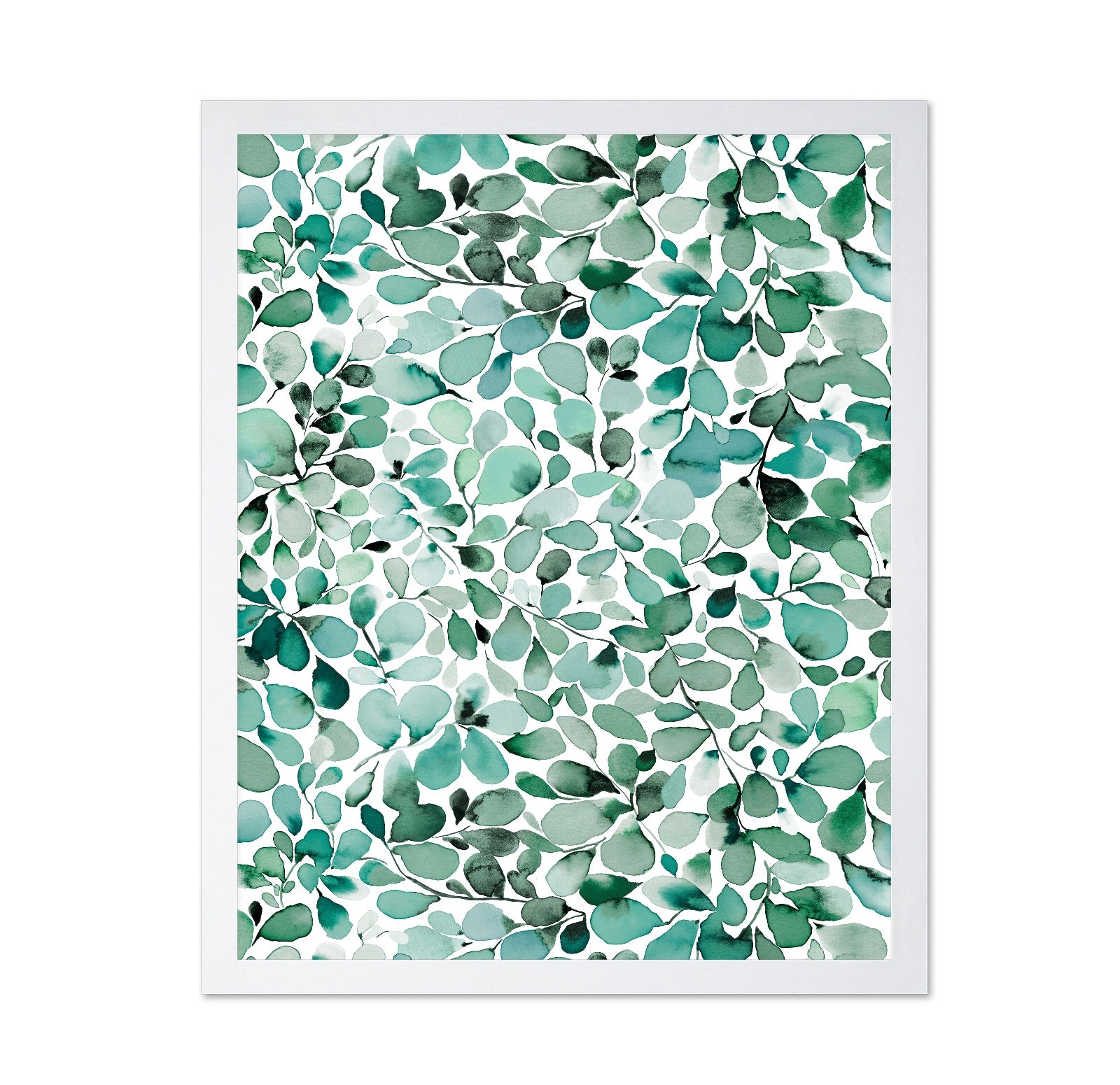 Eucalyptus Leaves