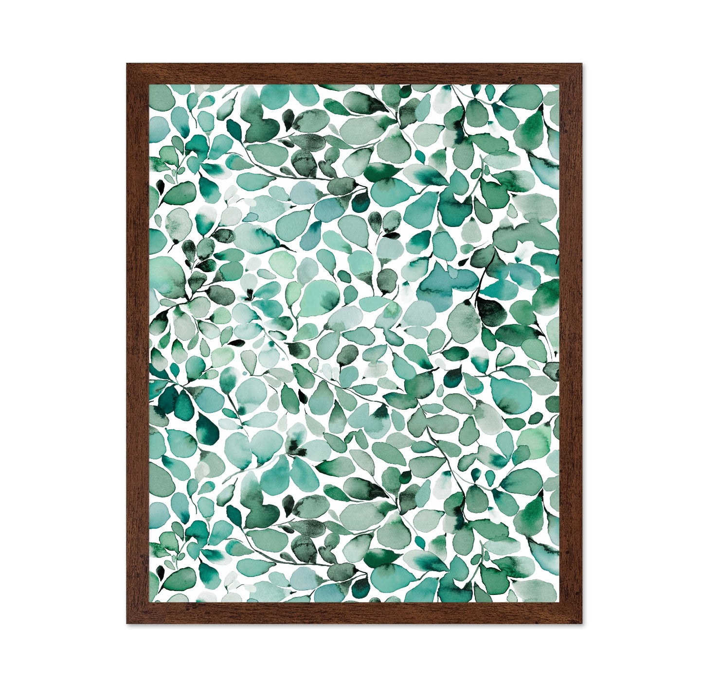 Eucalyptus Leaves