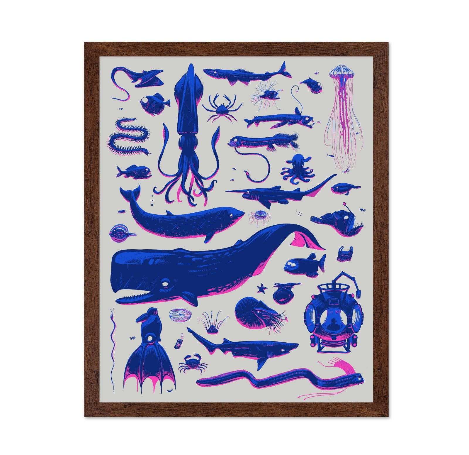 Sea Creatures