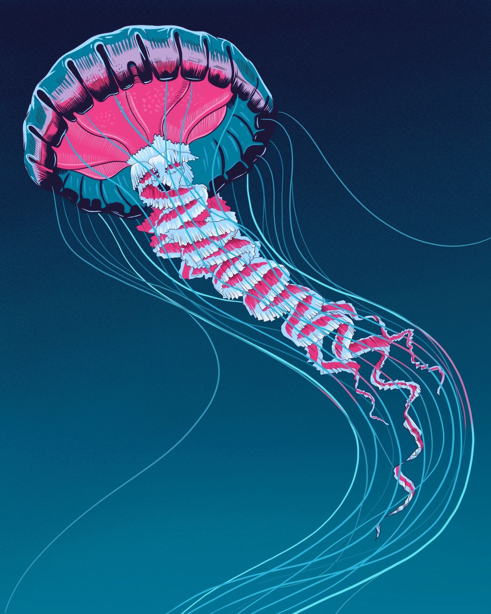 Lions Mane Jellyfish