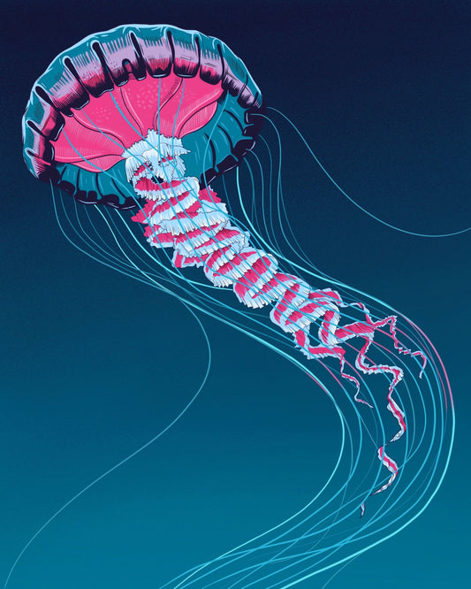 Lions Mane Jellyfish