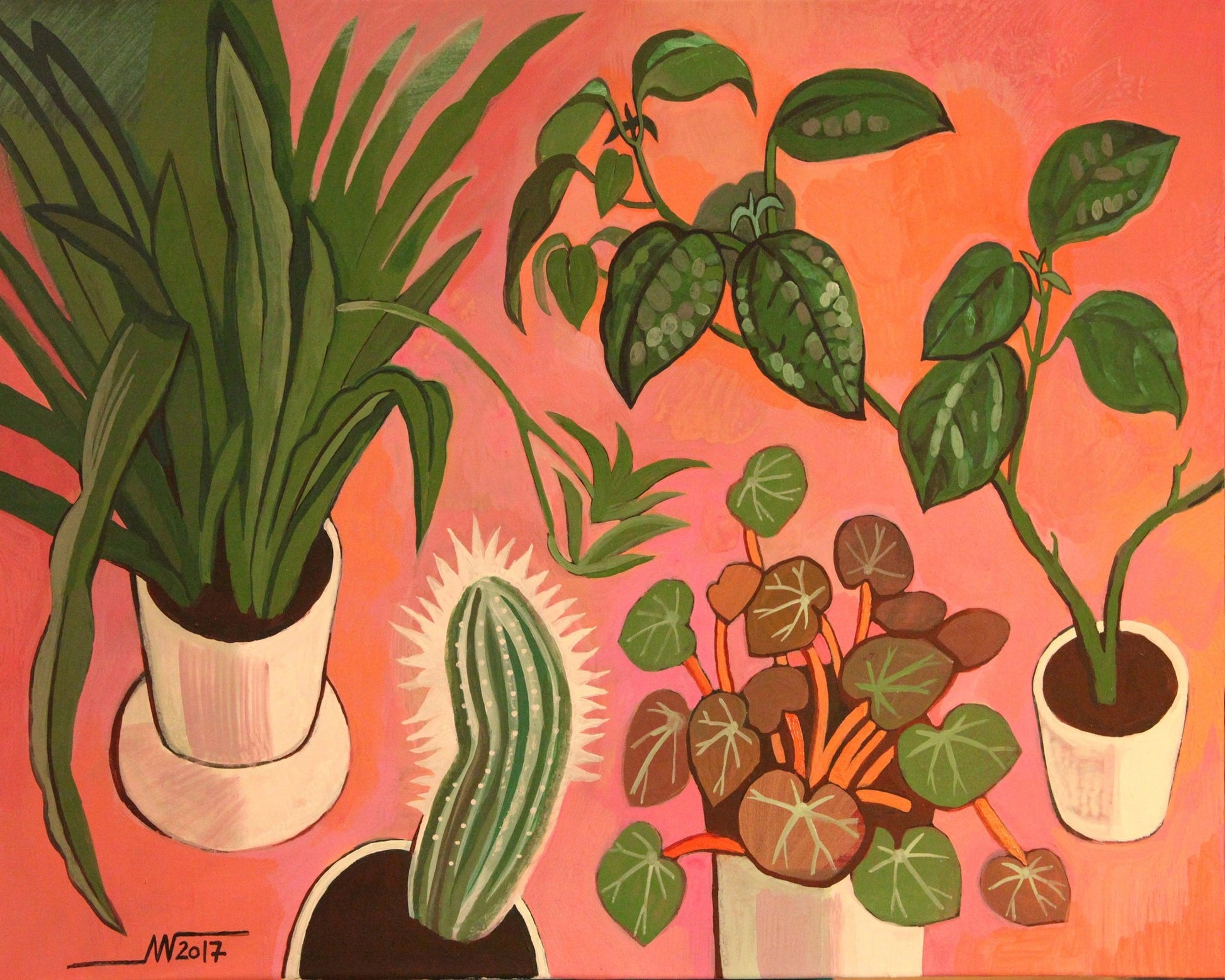 Potted Plants Collection