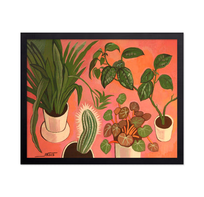 Potted Plants Collection