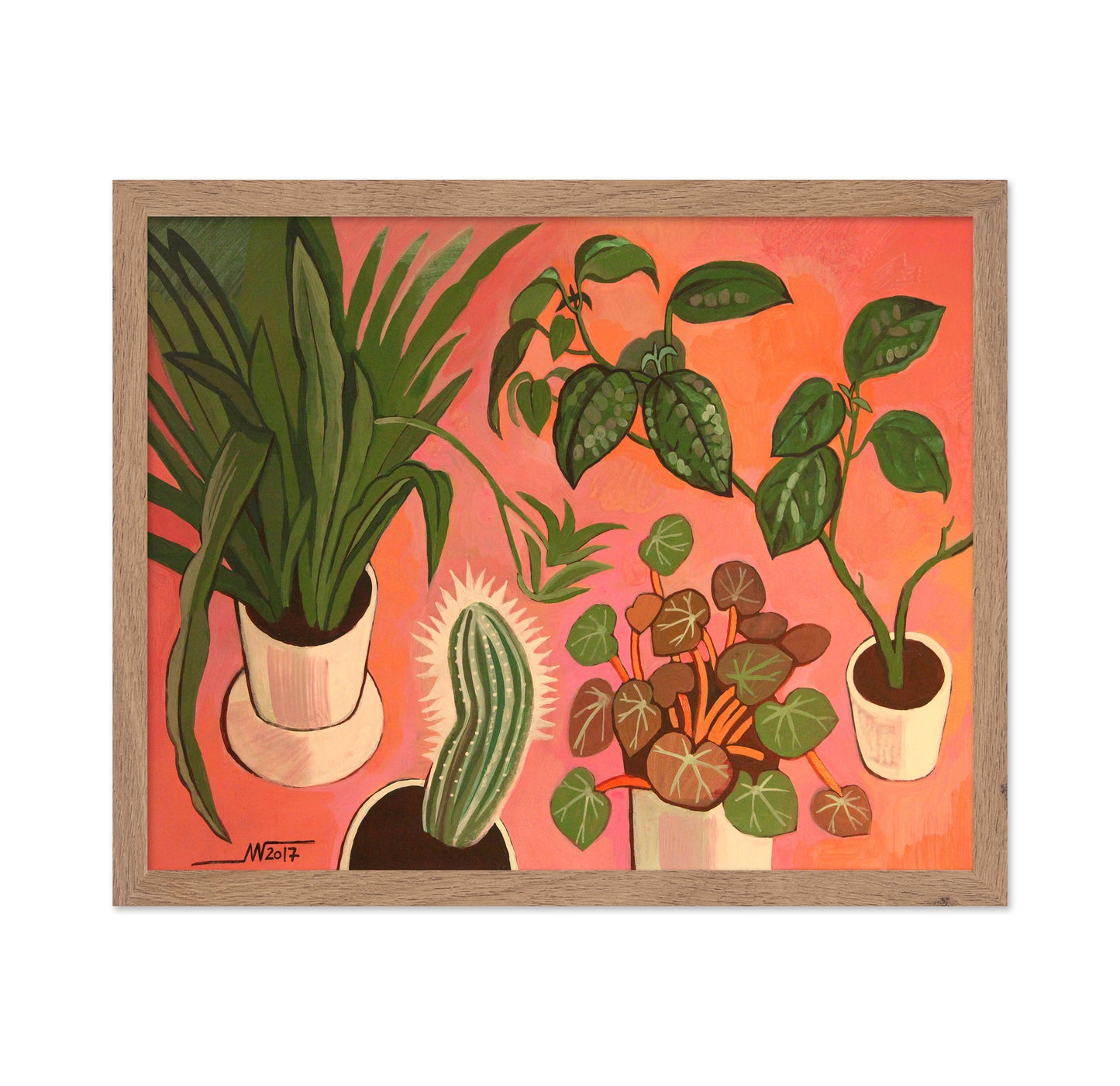 Potted Plants Collection