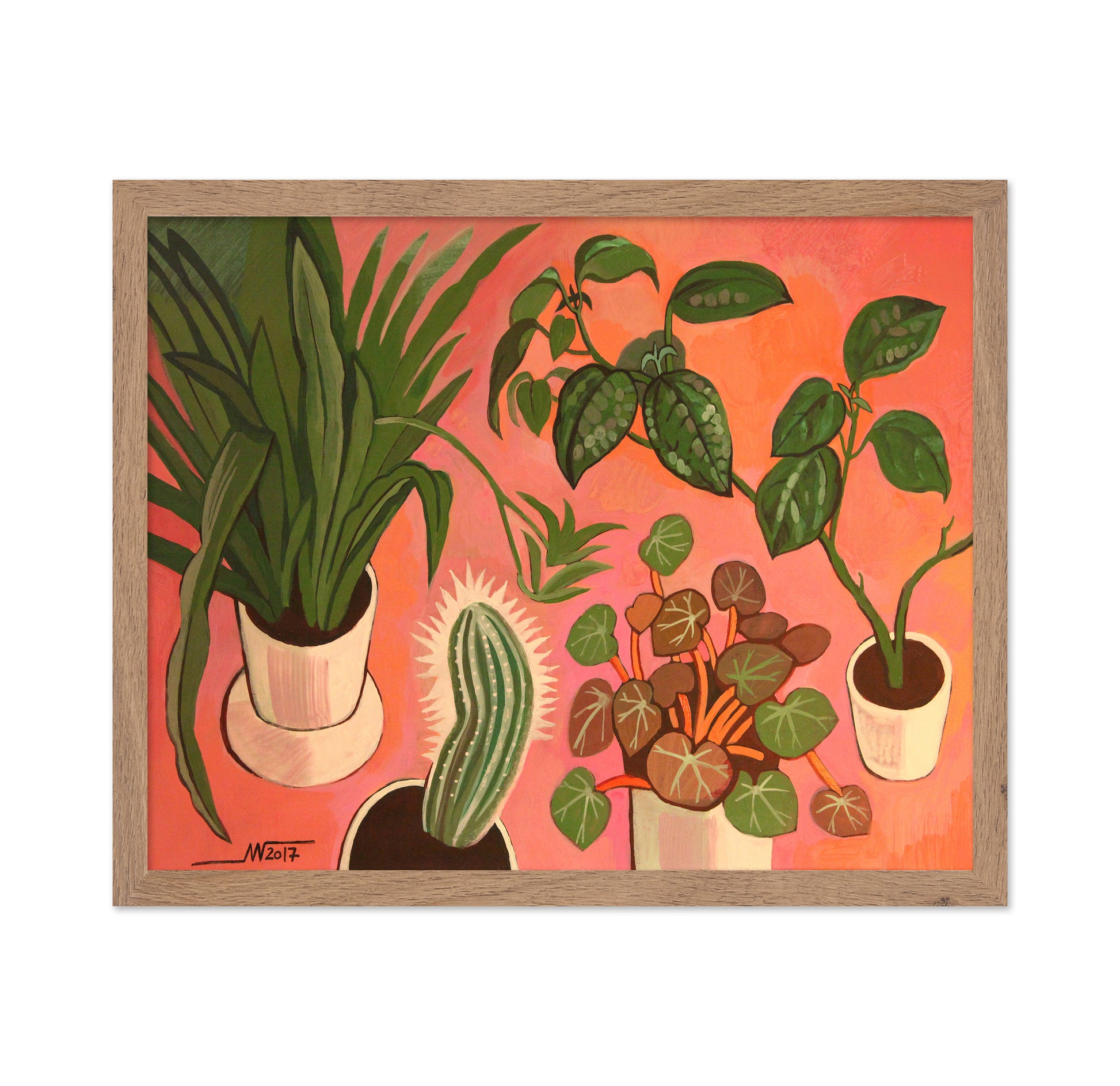 Potted Plants Collection