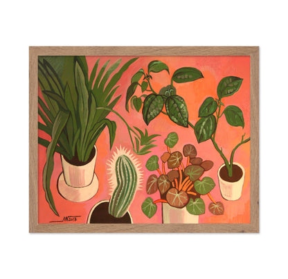 Potted Plants Collection