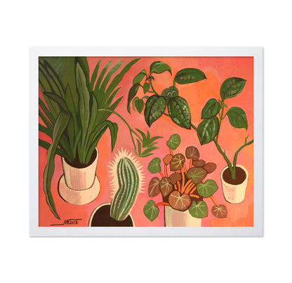 Potted Plants Collection