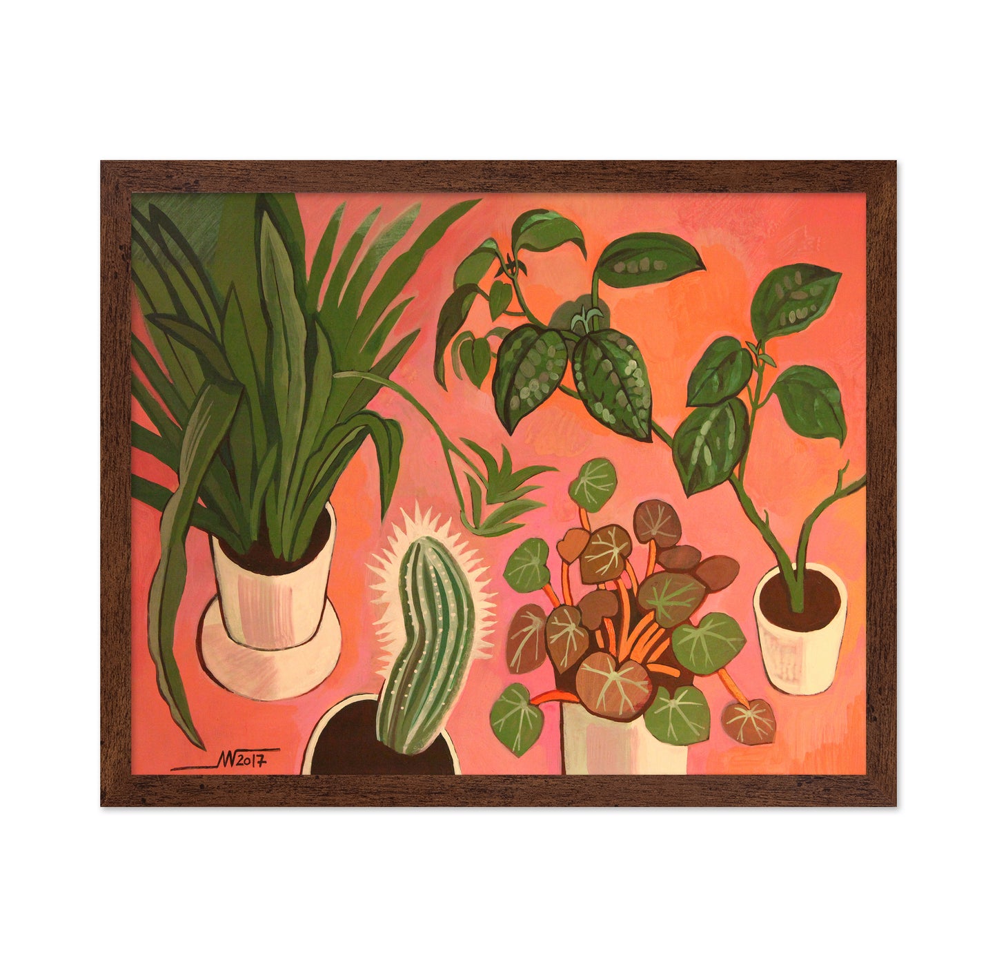 Potted Plants Collection