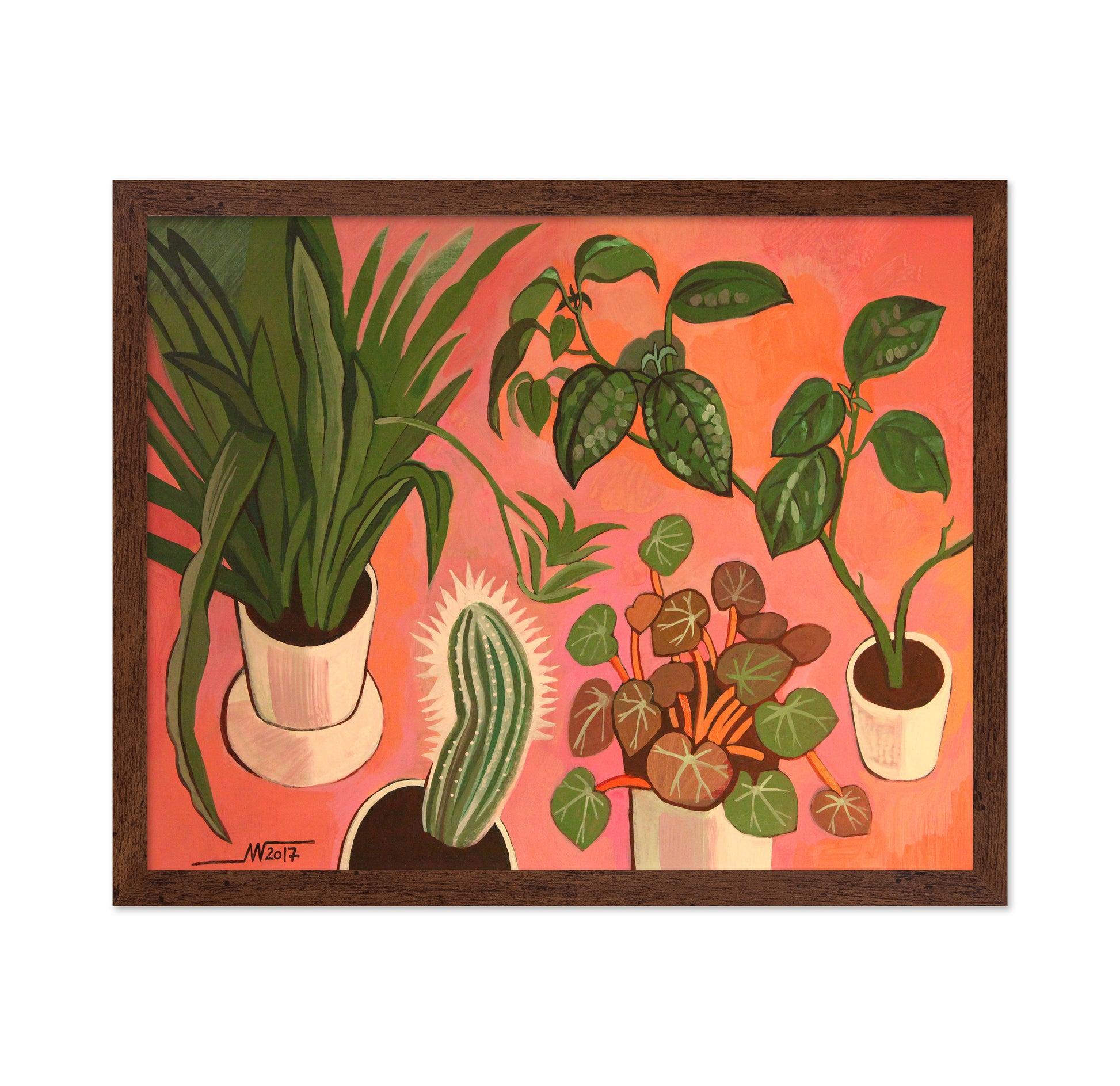 Potted Plants Collection