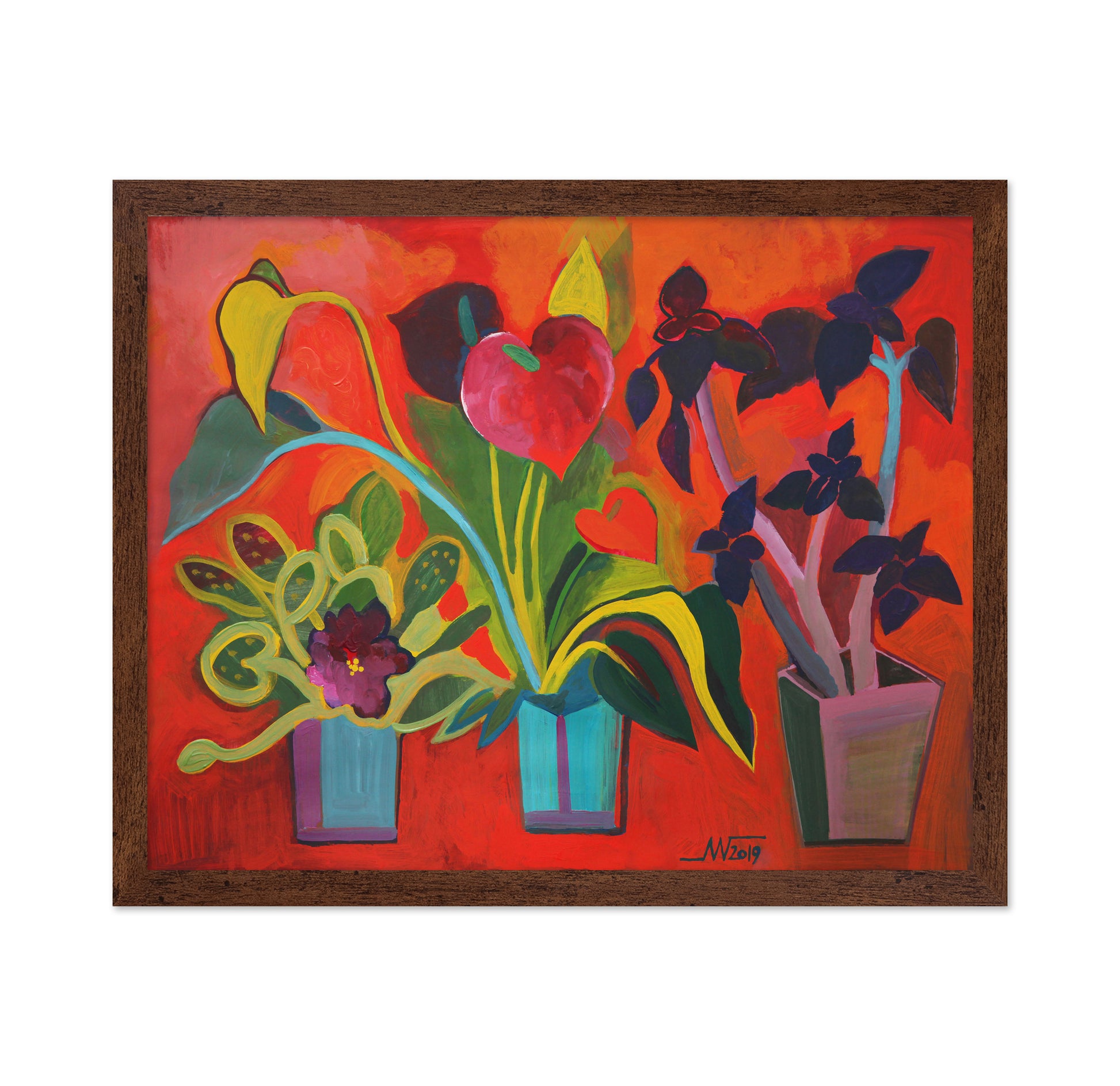 Vibrant Potted Plants