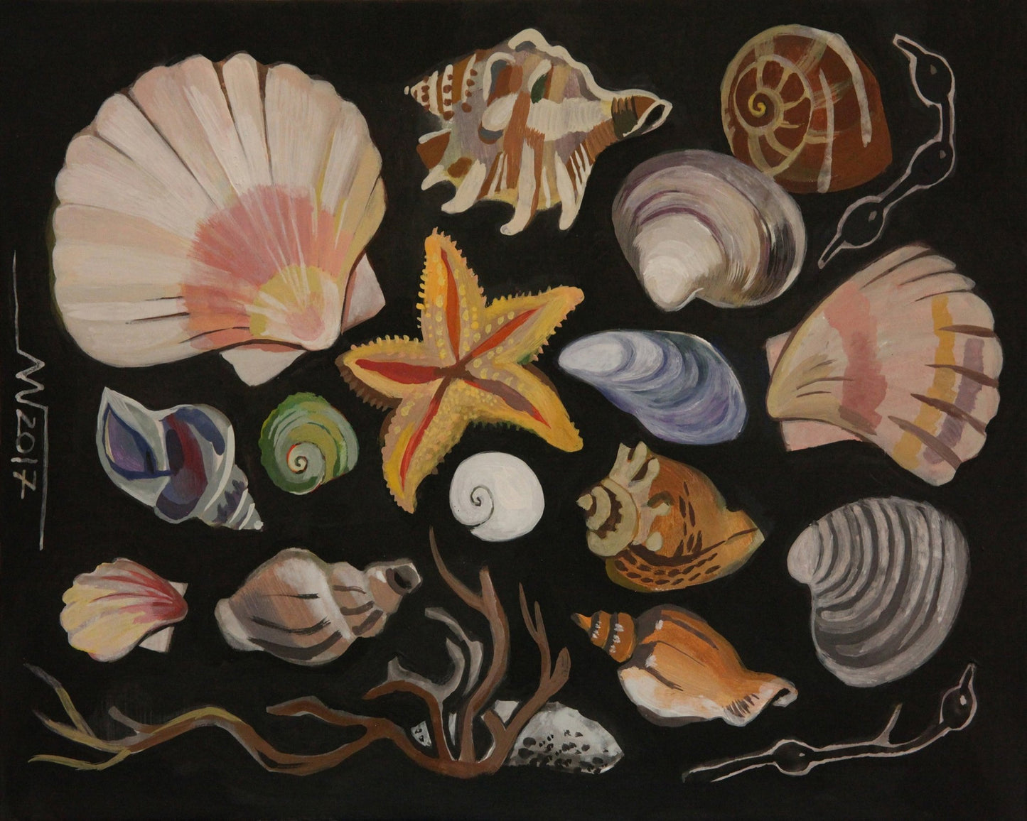 Coastal Shell Collection
