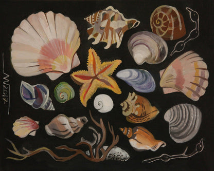 Coastal Shell Collection
