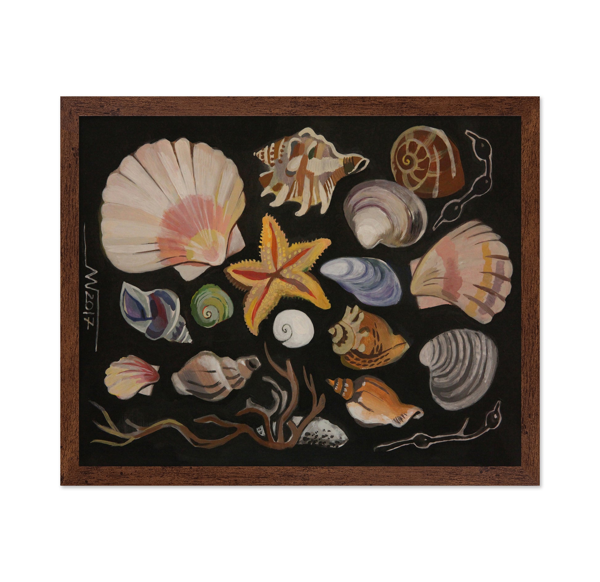 Coastal Shell Collection