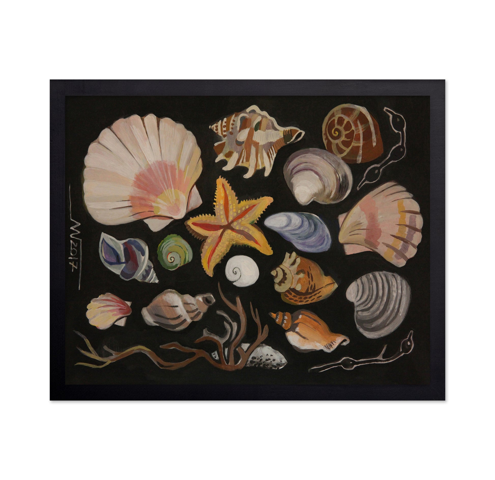 Coastal Shell Collection