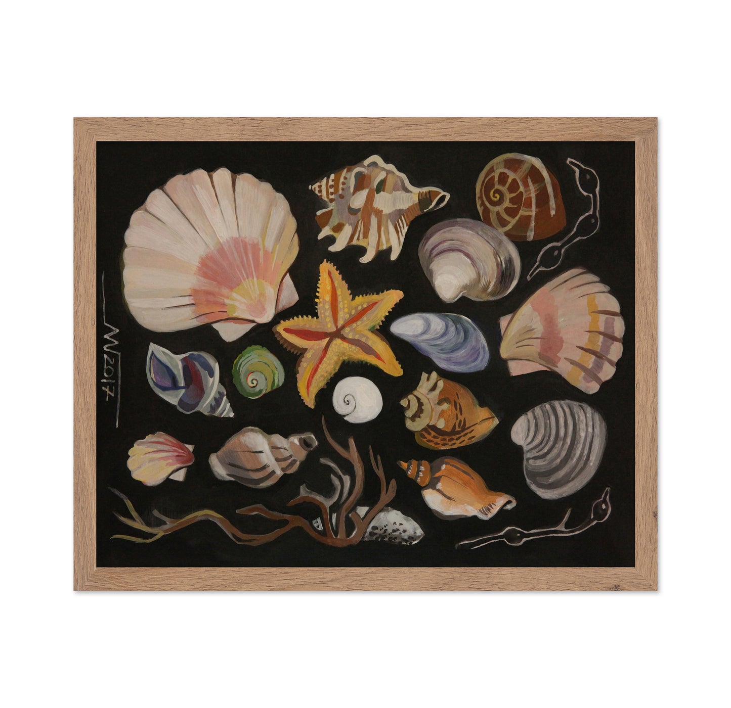 Coastal Shell Collection