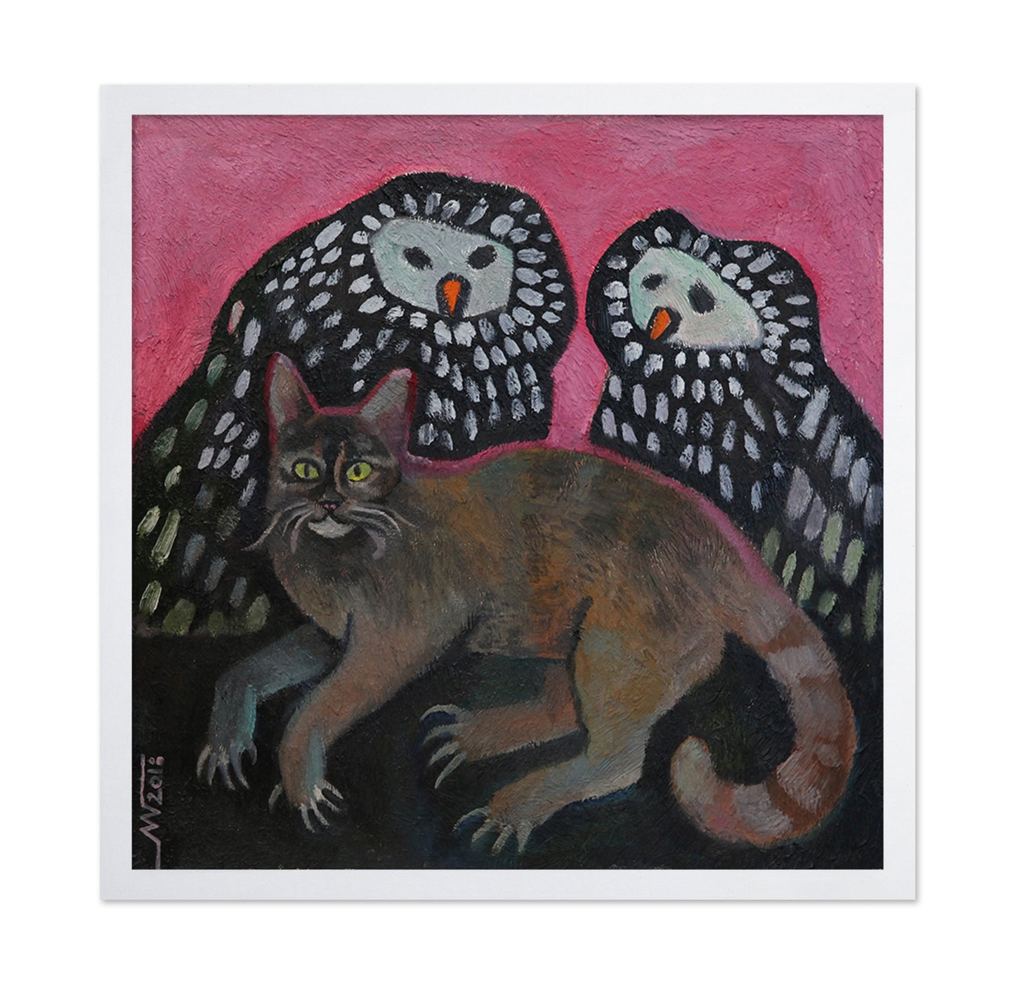 Cat And Owls