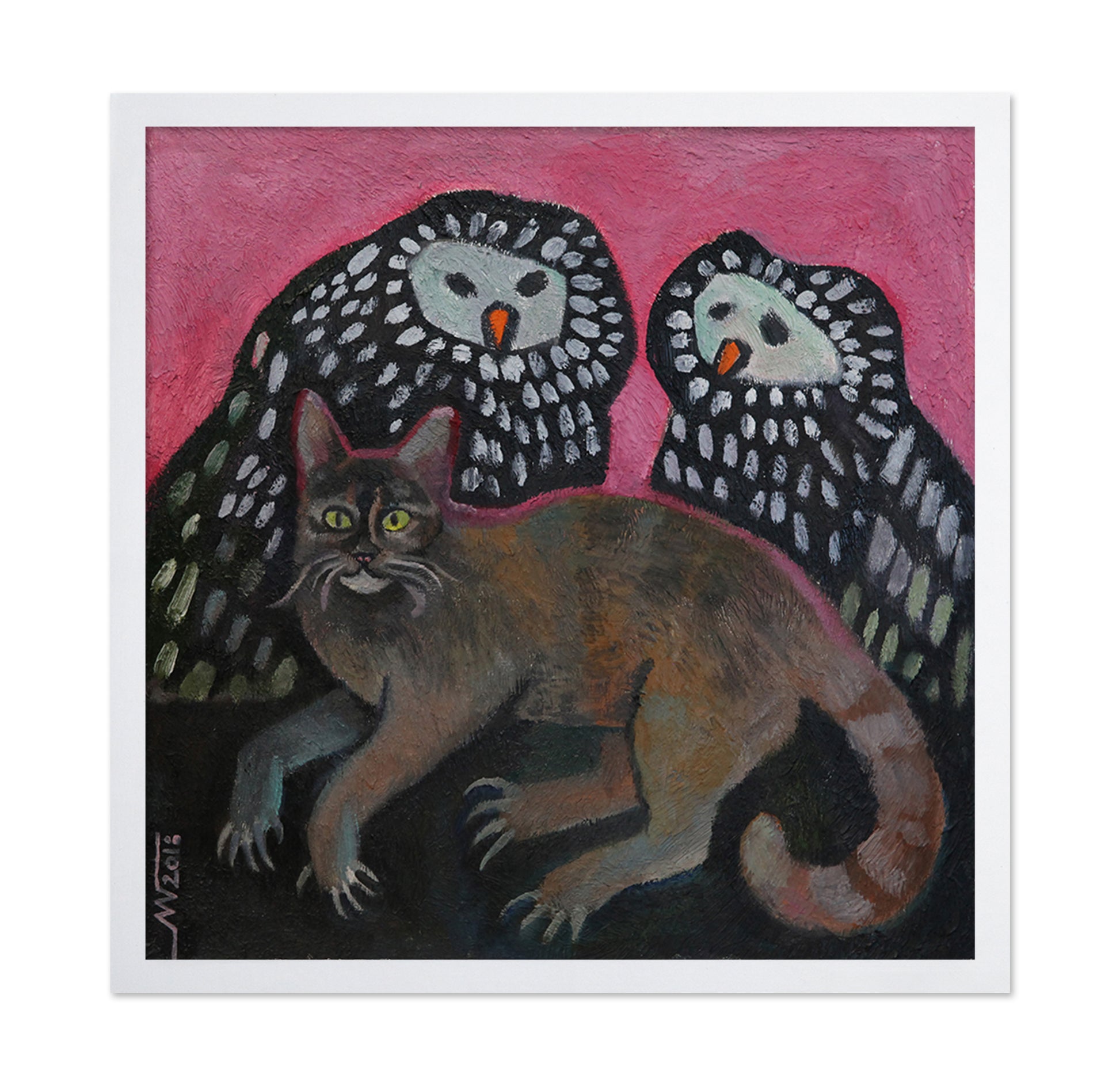 Cat And Owls