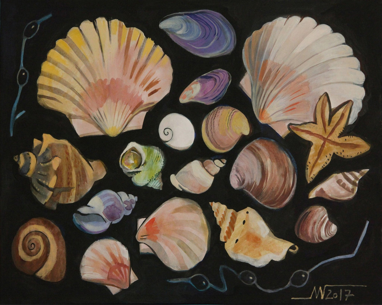 Ocean Shell Collection