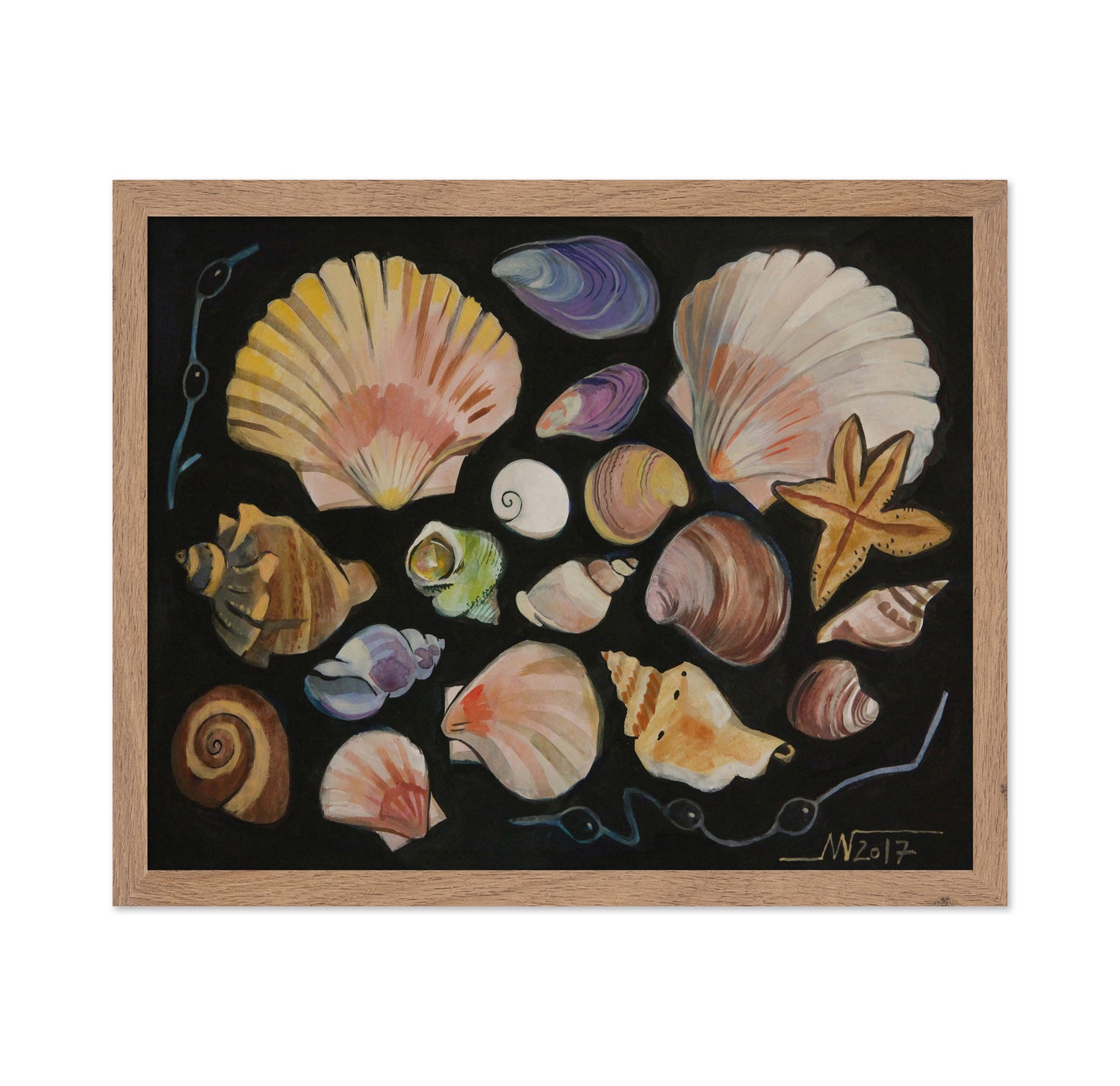 Ocean Shell Collection