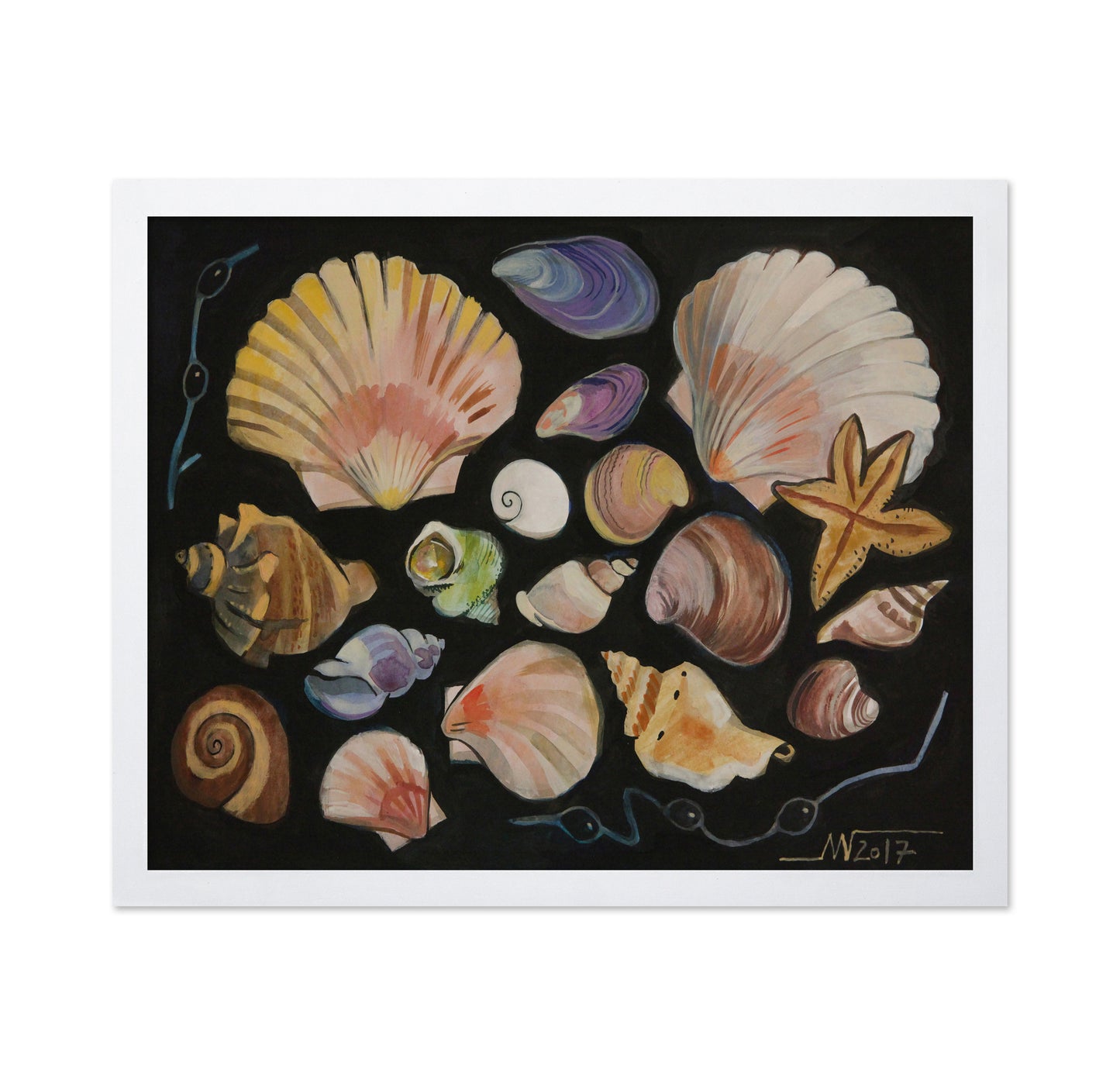 Ocean Shell Collection