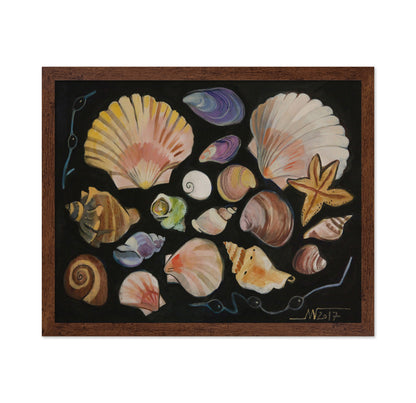 Ocean Shell Collection