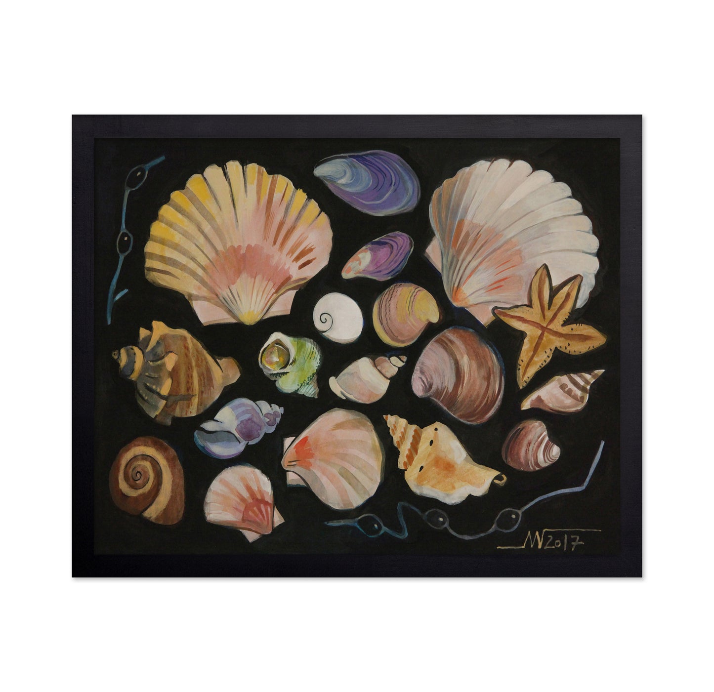 Ocean Shell Collection