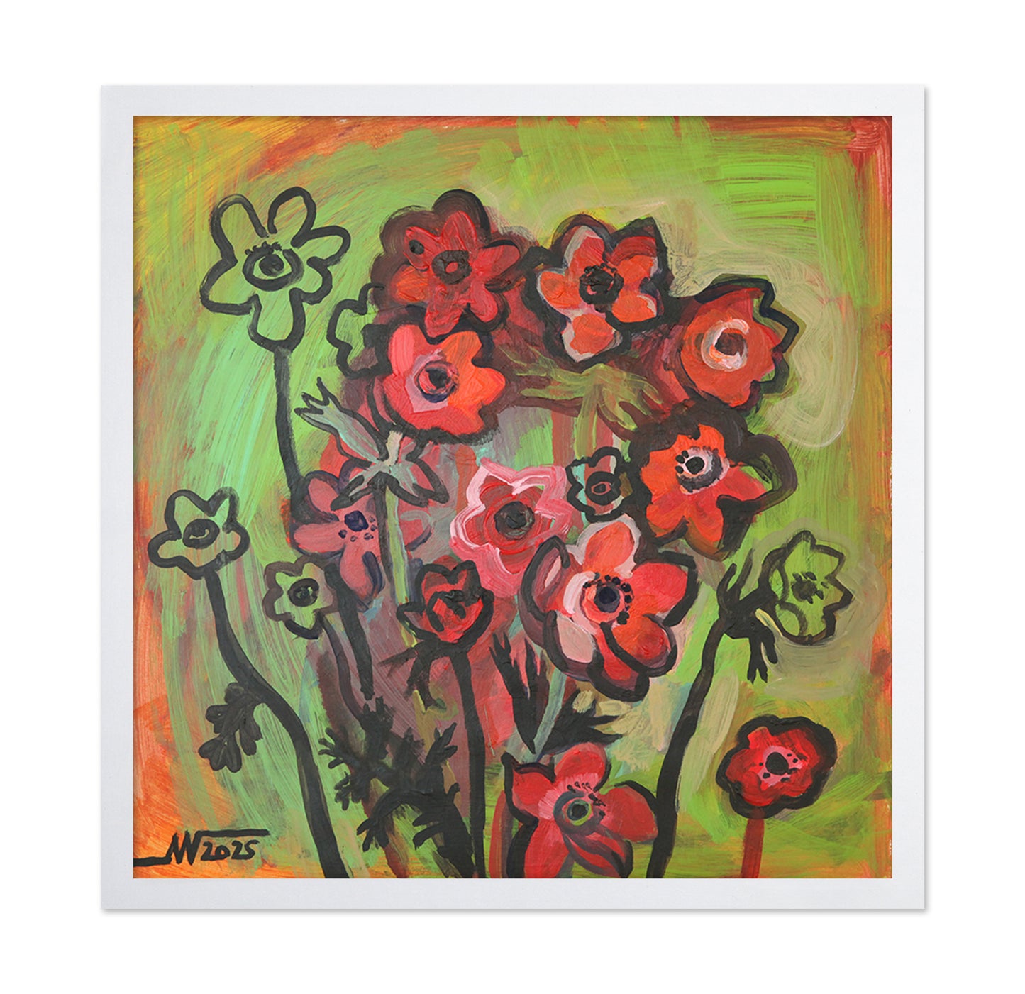 Red Anemone Flowers