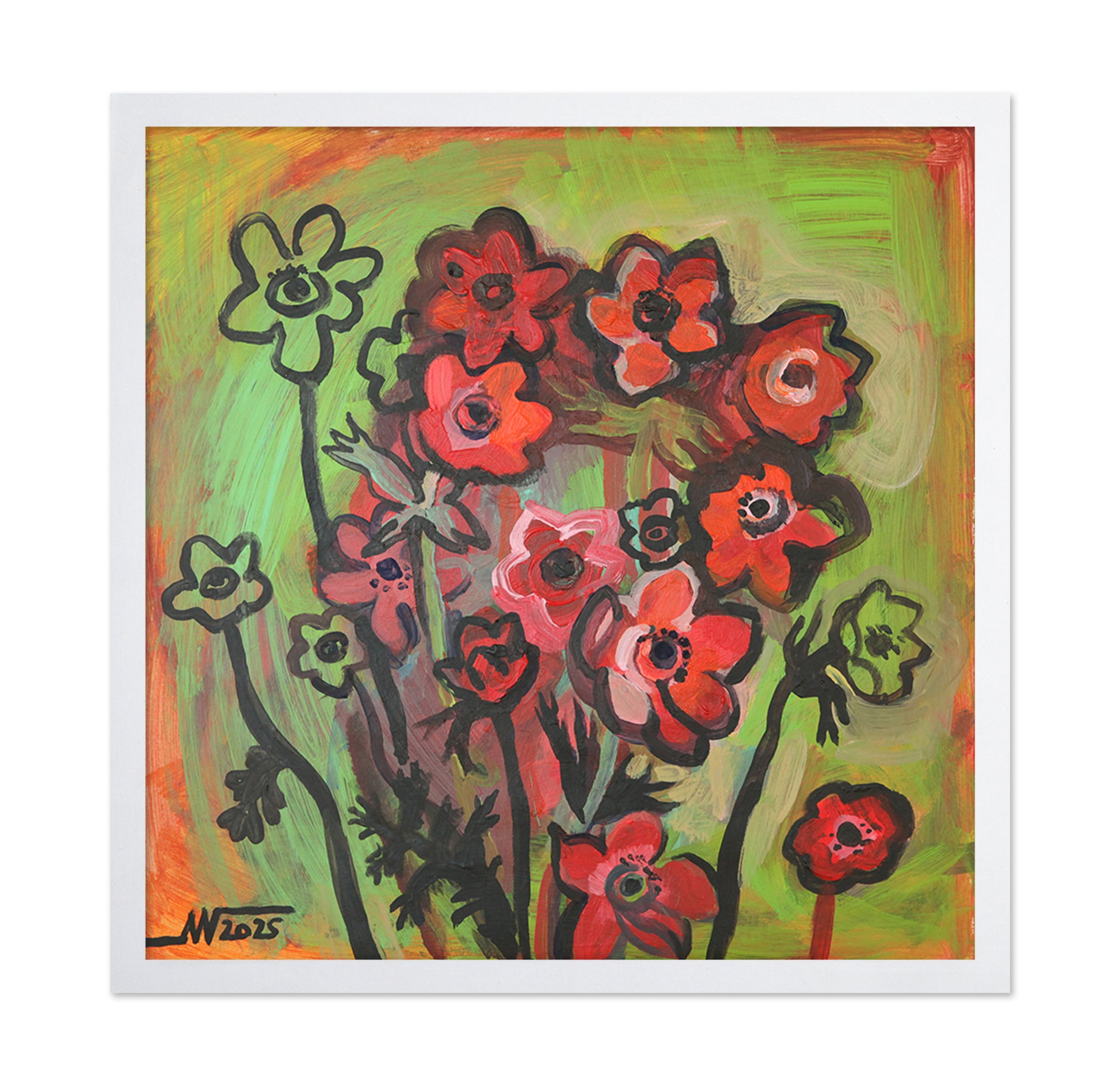 Red Anemone Flowers