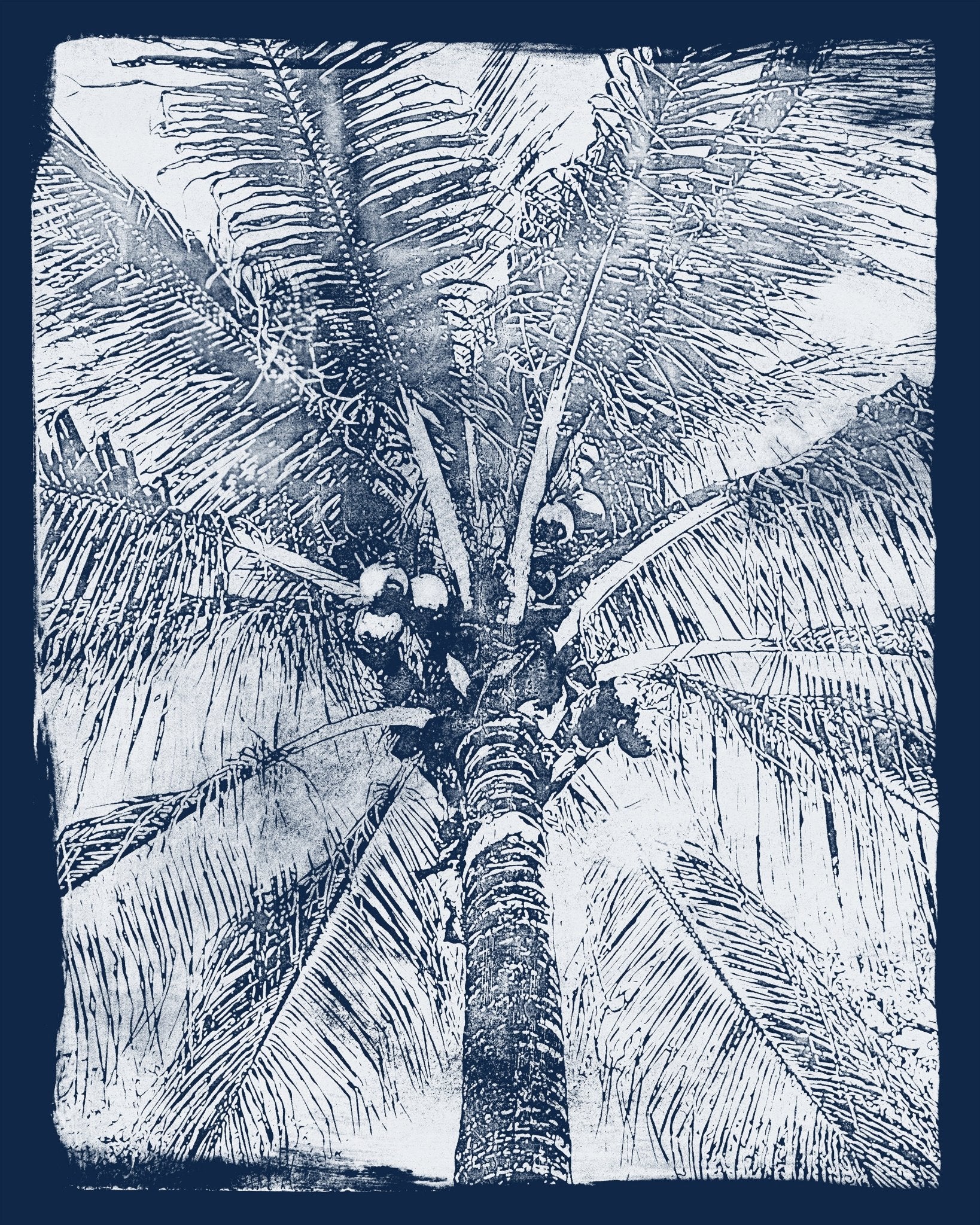 Coastal Palm