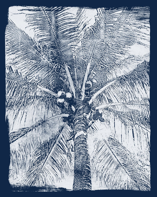 Coastal Palm