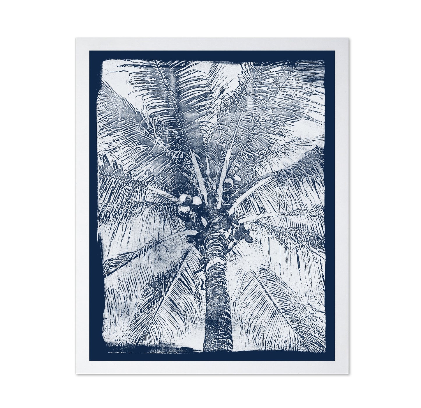 Coastal Palm