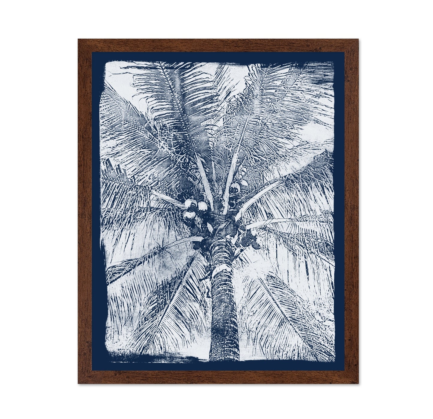 Coastal Palm