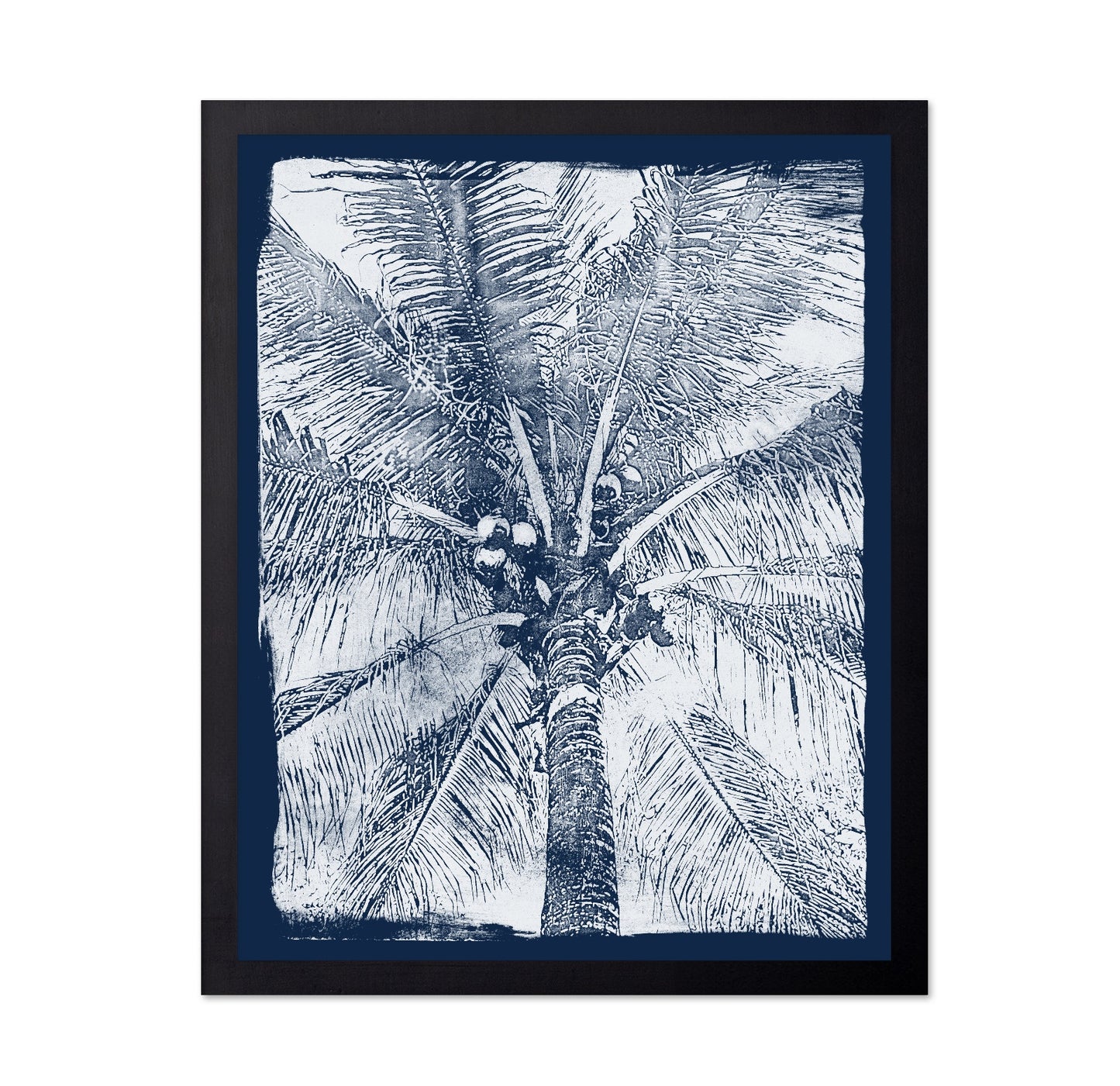 Coastal Palm