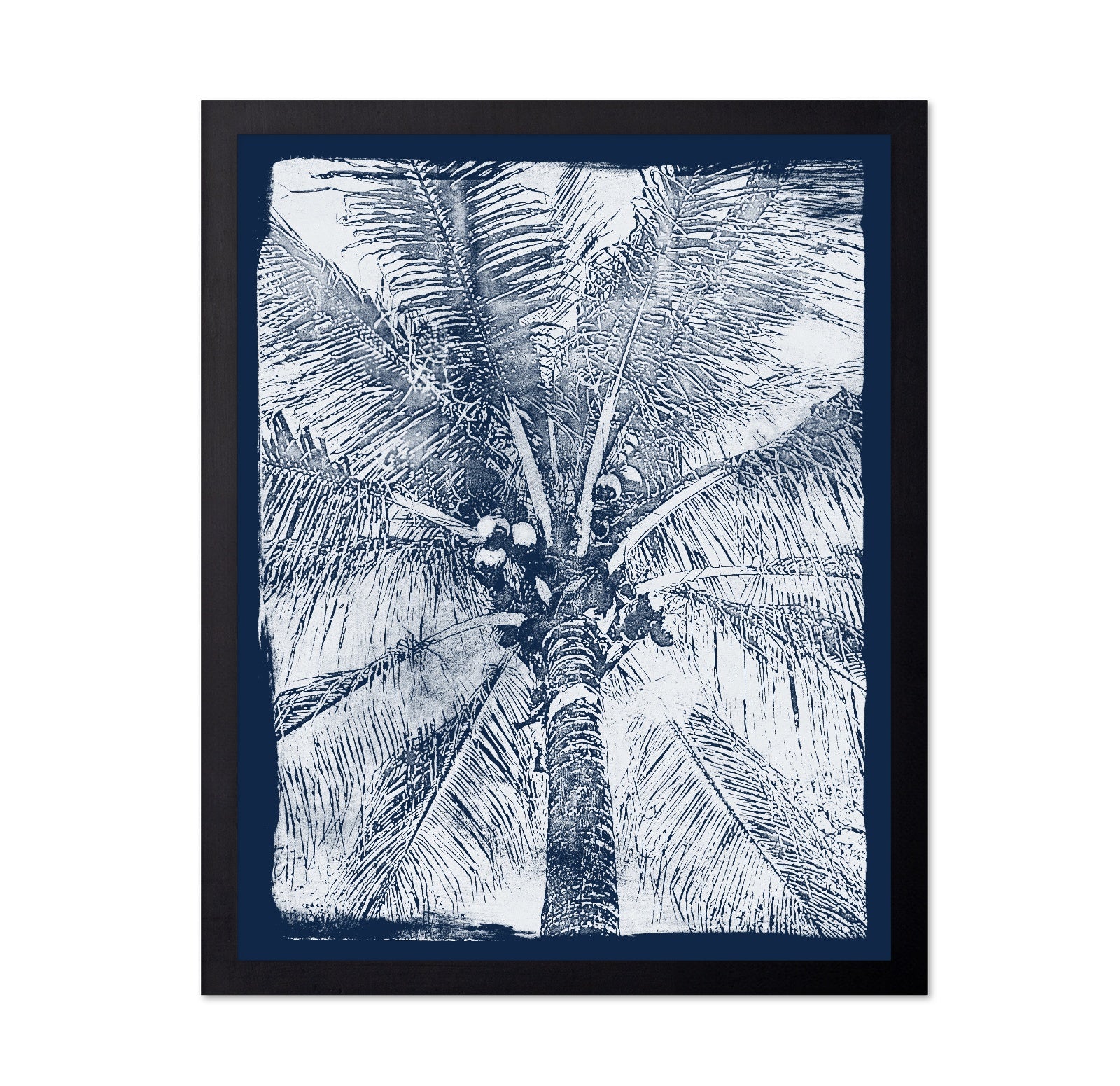 Coastal Palm