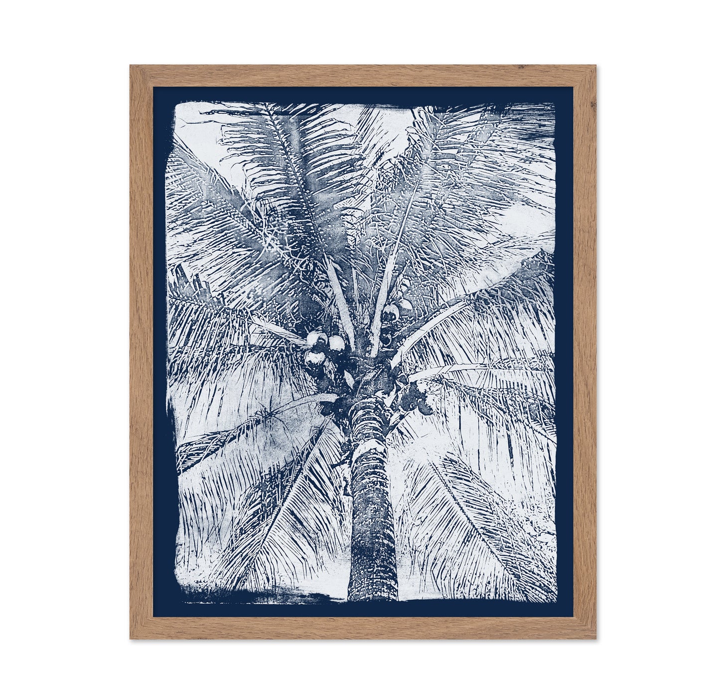 Coastal Palm