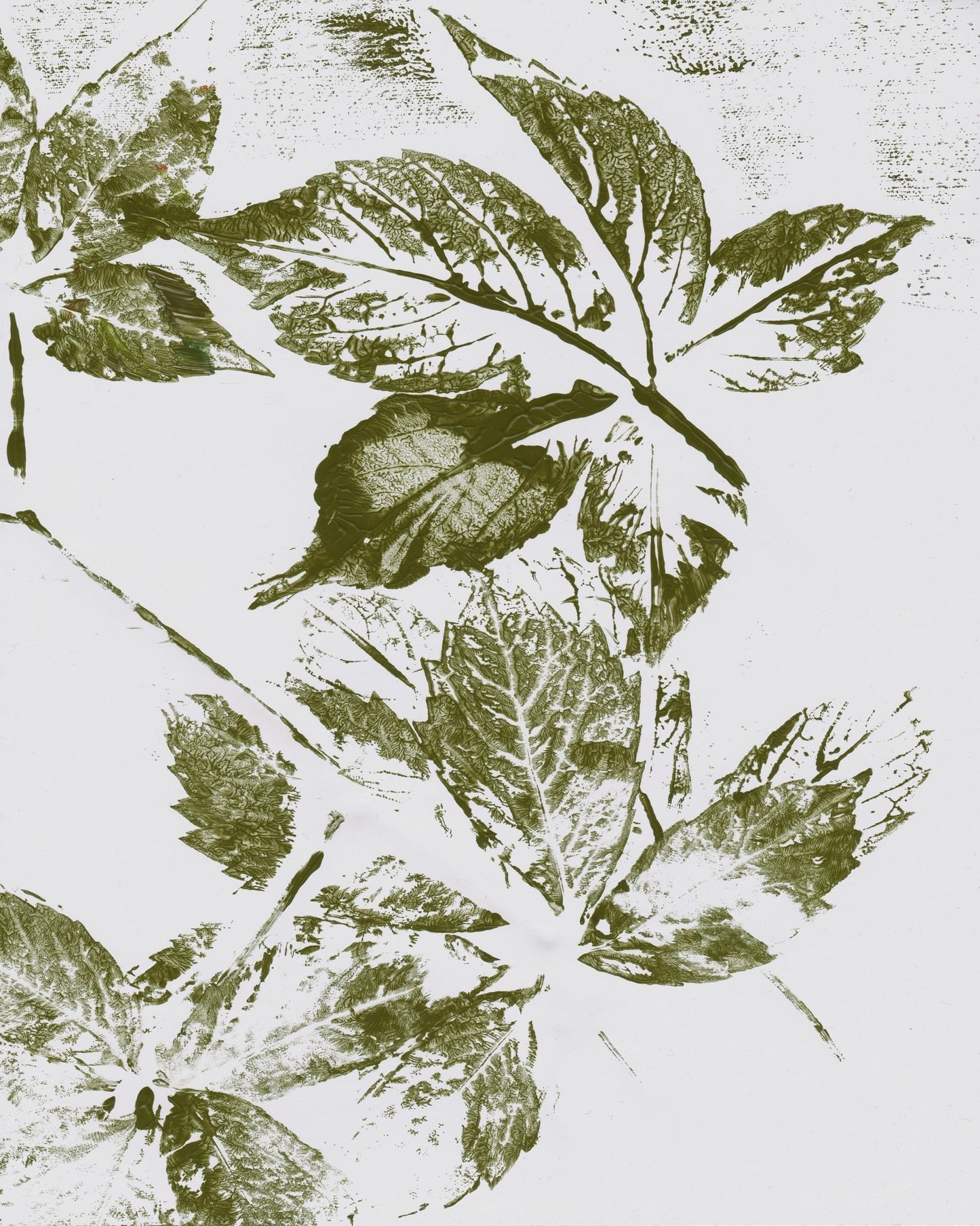 Botanical Leaf Prints No1