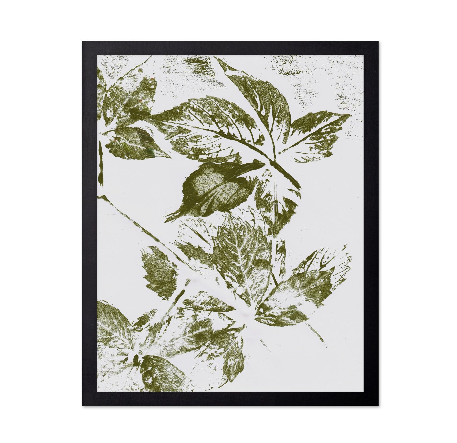 Botanical Leaf Prints No1