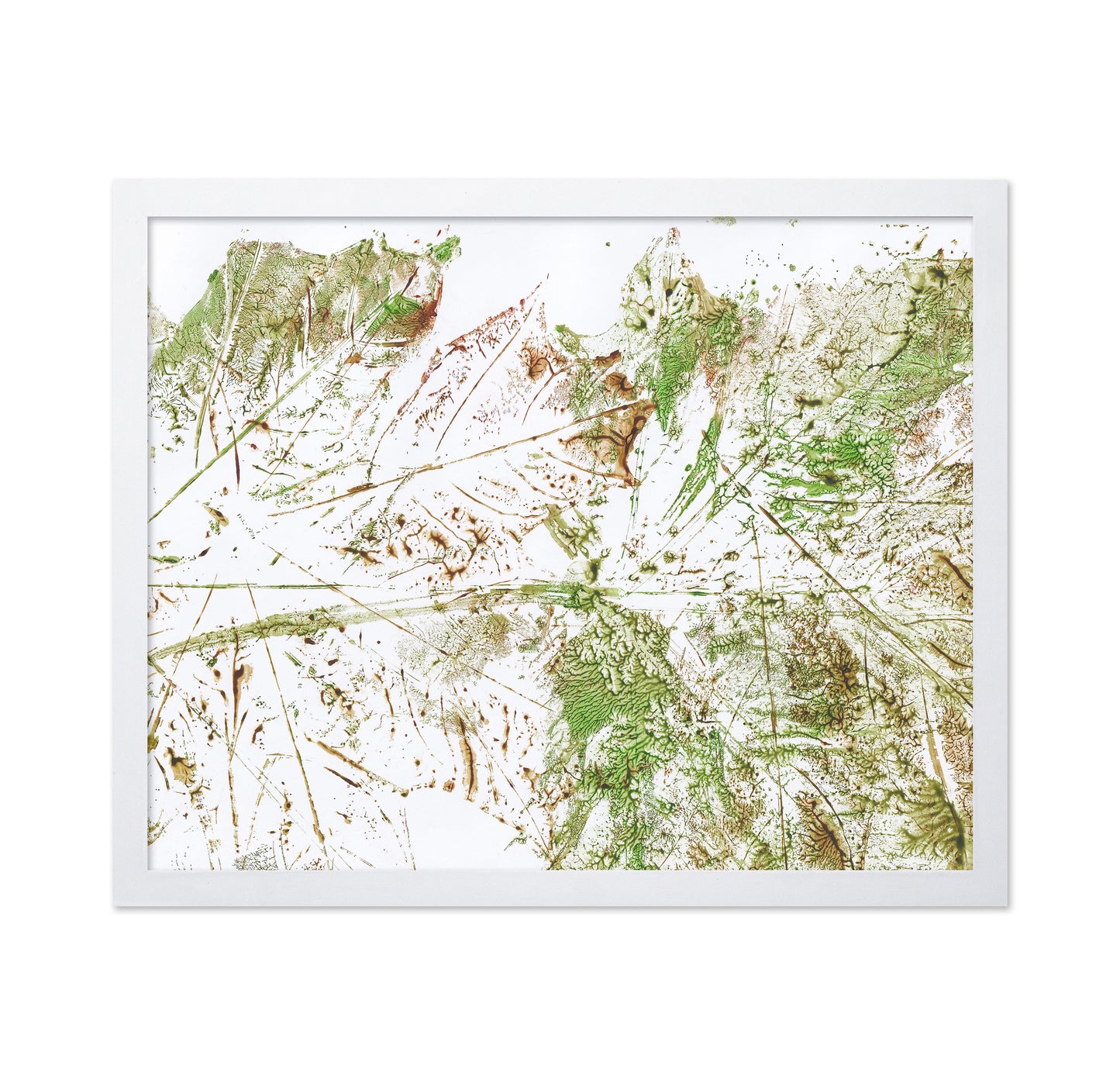 Botanical Texture Study
