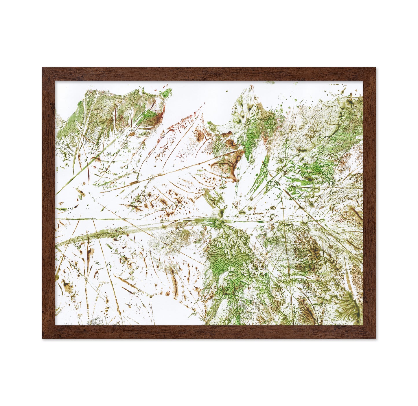 Botanical Texture Study