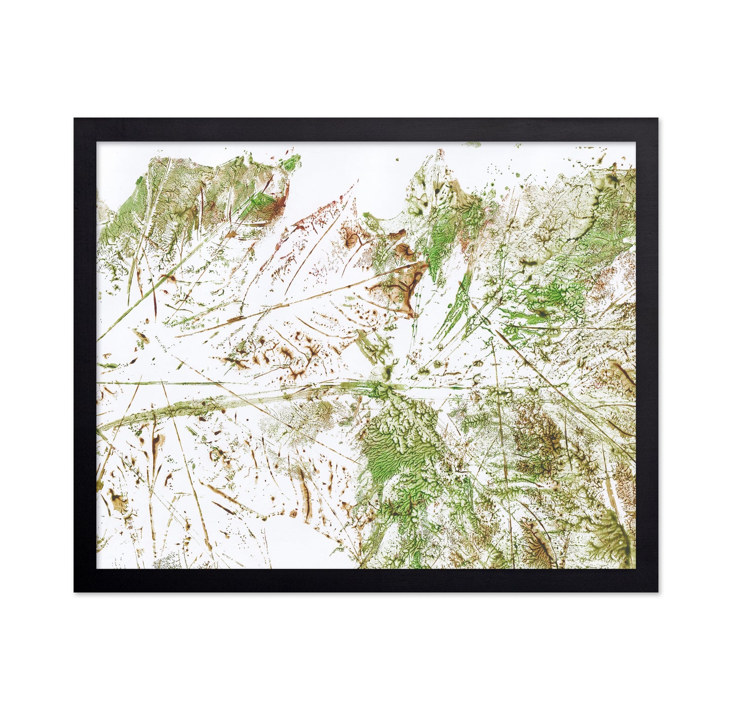 Botanical Texture Study