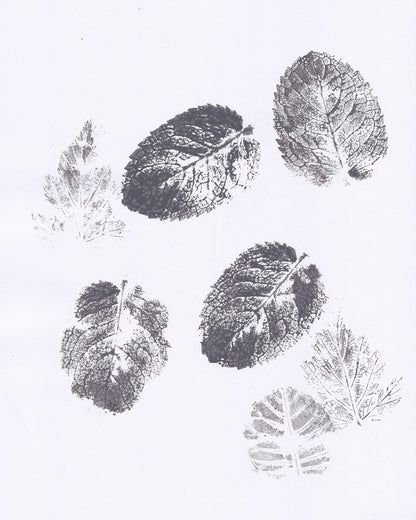 Botanical Leaf Prints No2