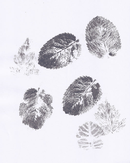 Botanical Leaf Prints No2